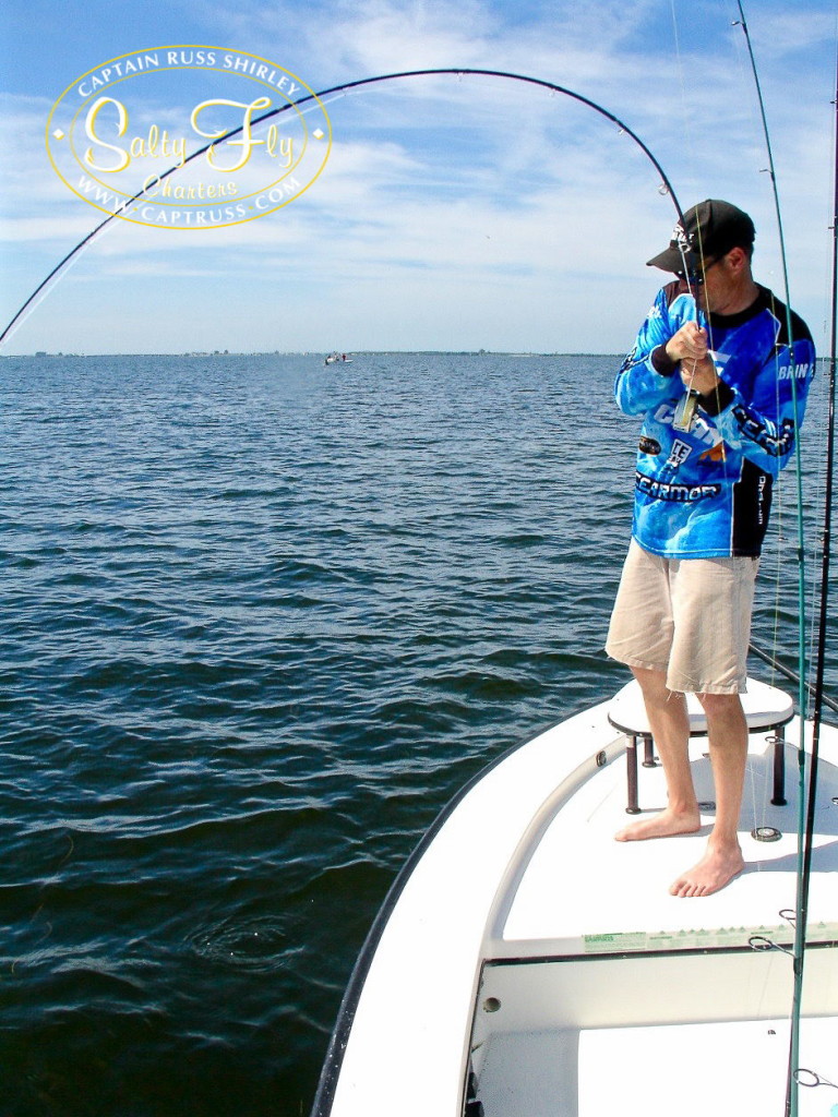 Captain Russ Shirley Tampa Bay Fly Fishing Report