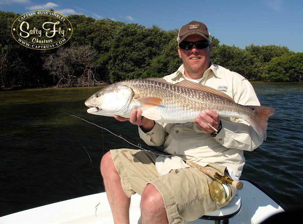 Fly fishing Tampa Bay redfish with Salty Fly Charters.