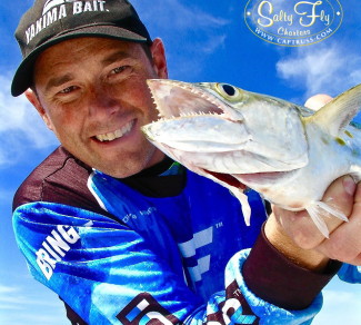 David Harrison with Tampa Bay Spanish Mackerel on fly.