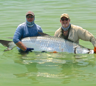 First tarpon on fly in St. Petersburg with Capt. Russ Shirley.