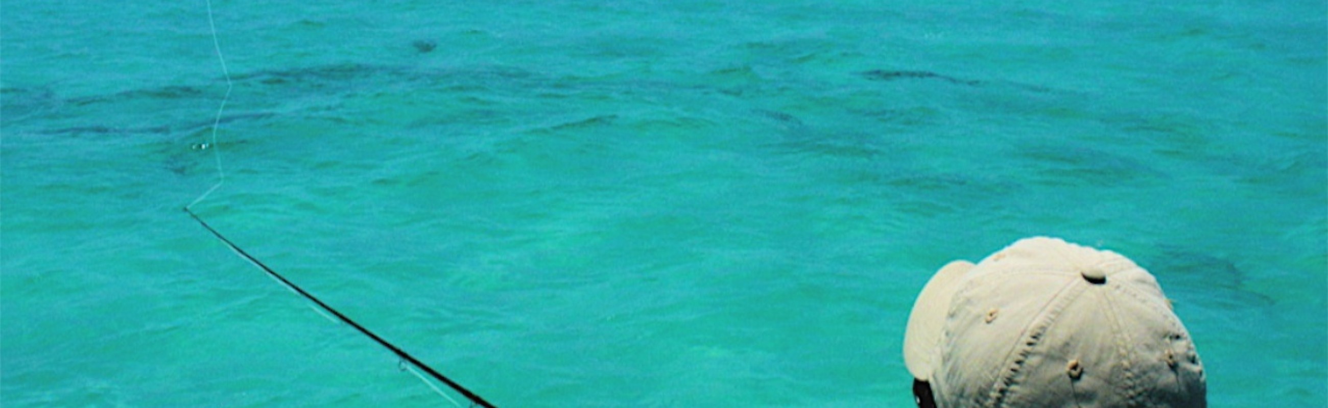 Fly Fishing Anna Maria, Tarpon Fly Fishing