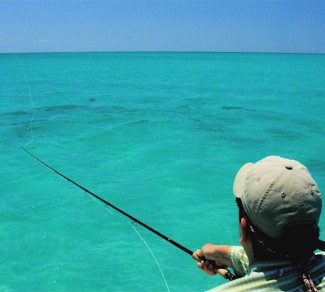 Fly Fishing Anna Maria, Tarpon Fly Fishing