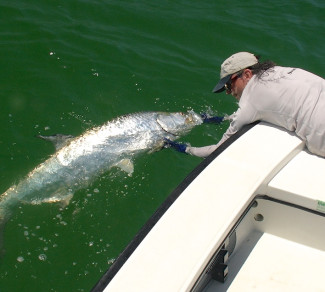 Fly Fishing Saltwater with Salty Fly Charters • St. Pete Beach Vacation Bucket List Item