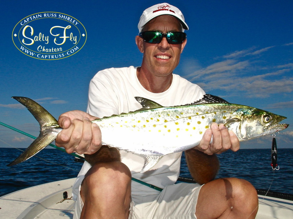 Charter Guide Tampa Bay Fishing St. Petersburg Florida