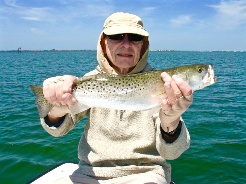 Large Tampa Bay Spotted Seatrout