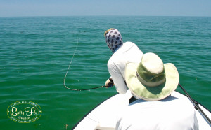 St. Pete Tarpon Fly Fishing