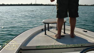 Morning tarpon daisy chain