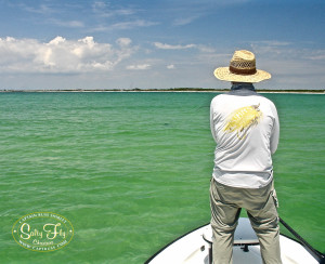 Tarpon Fly Fishing Tampa Bay