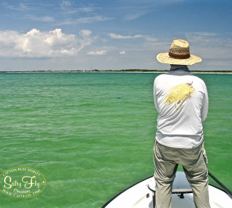 Tarpon Fly Fishing Tampa Bay