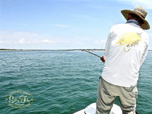 Tarpon in the channel with Richard Epling