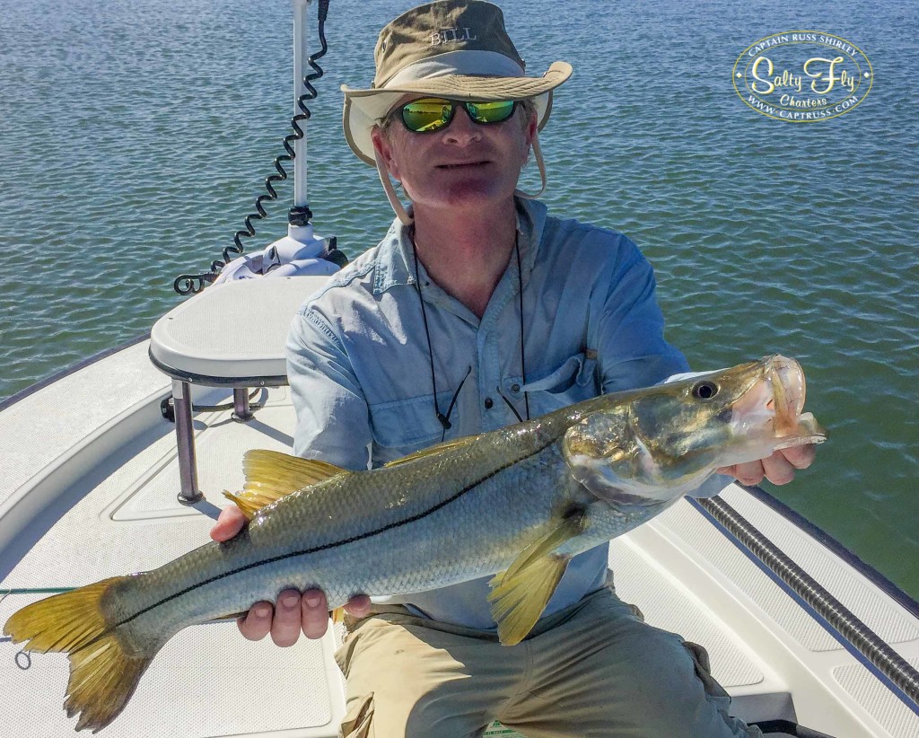 Saltwater Fly Fishing Guide Snook fishing Tampa Bay.