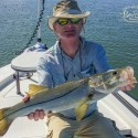 Saltwater Fly Fishing – Tampa Bay, FL Report