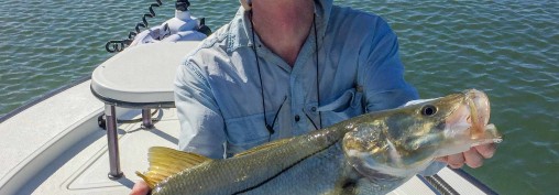 Saltwater Fly Fishing – Tampa Bay, FL Report