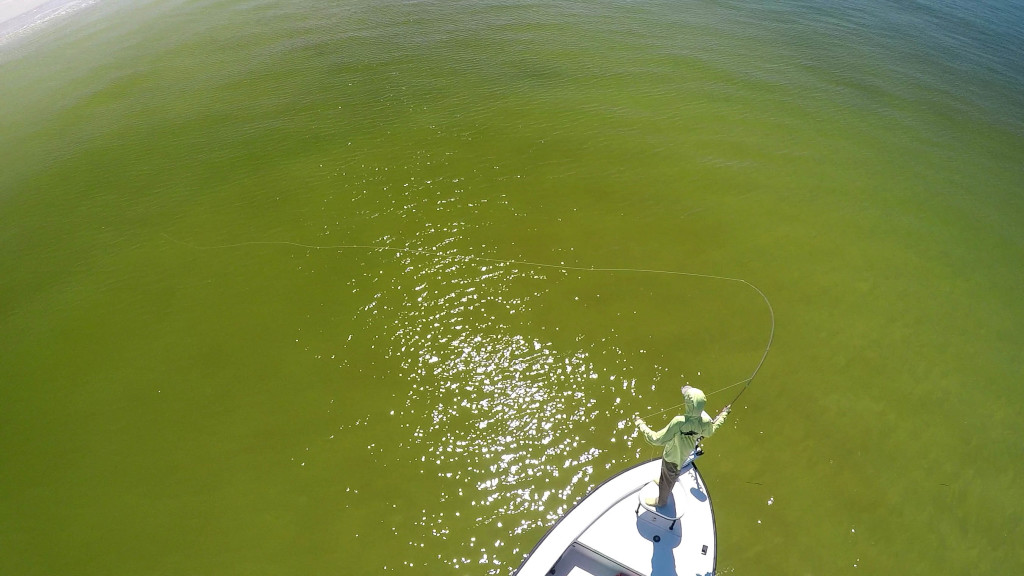 Beach Snook Fly Casting 1