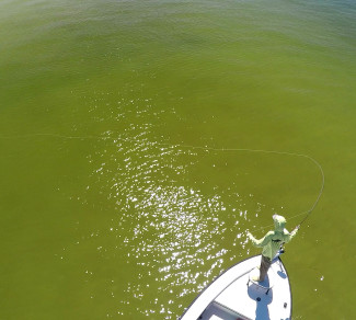 Beach Snook Fly Fishing With Capt. Russ Shirley