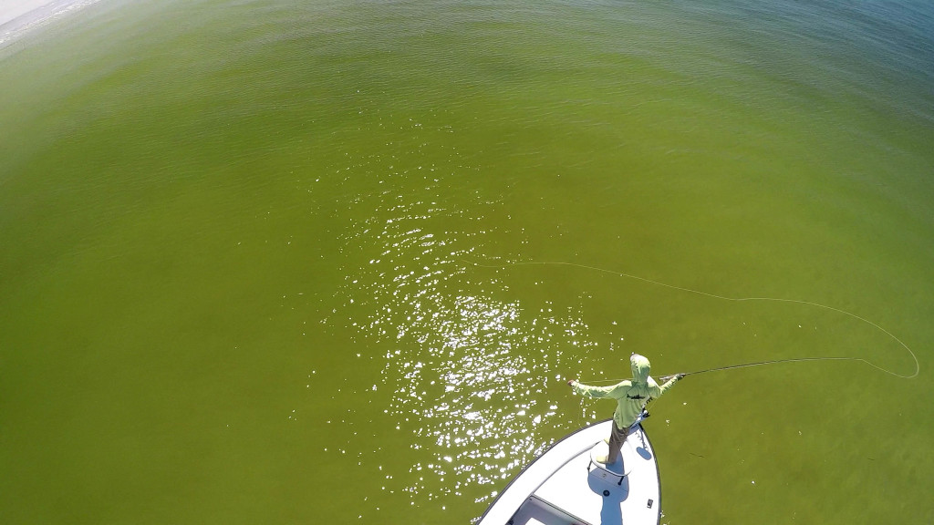 Beach Snook Fly Casting 3