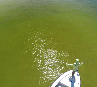 Beach Snook Fly Casting 3