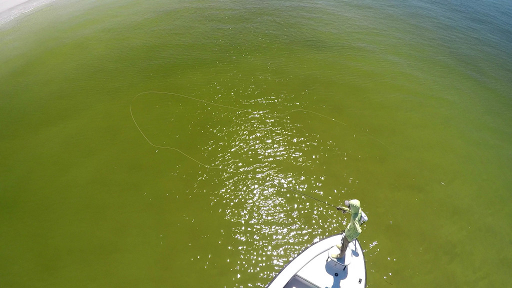 Beach Snook Fly Casting 4