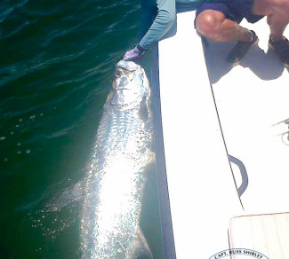 John Holt III with first tarpon.jpg