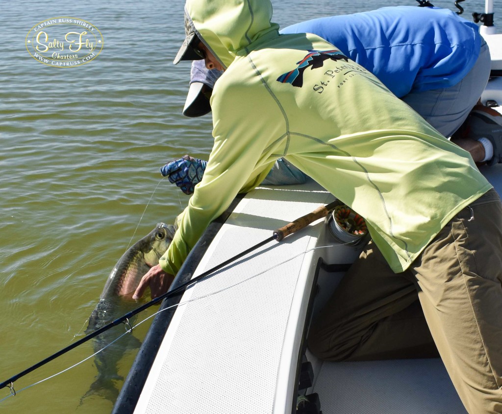 Releasing Sonder's Tarpon on fly