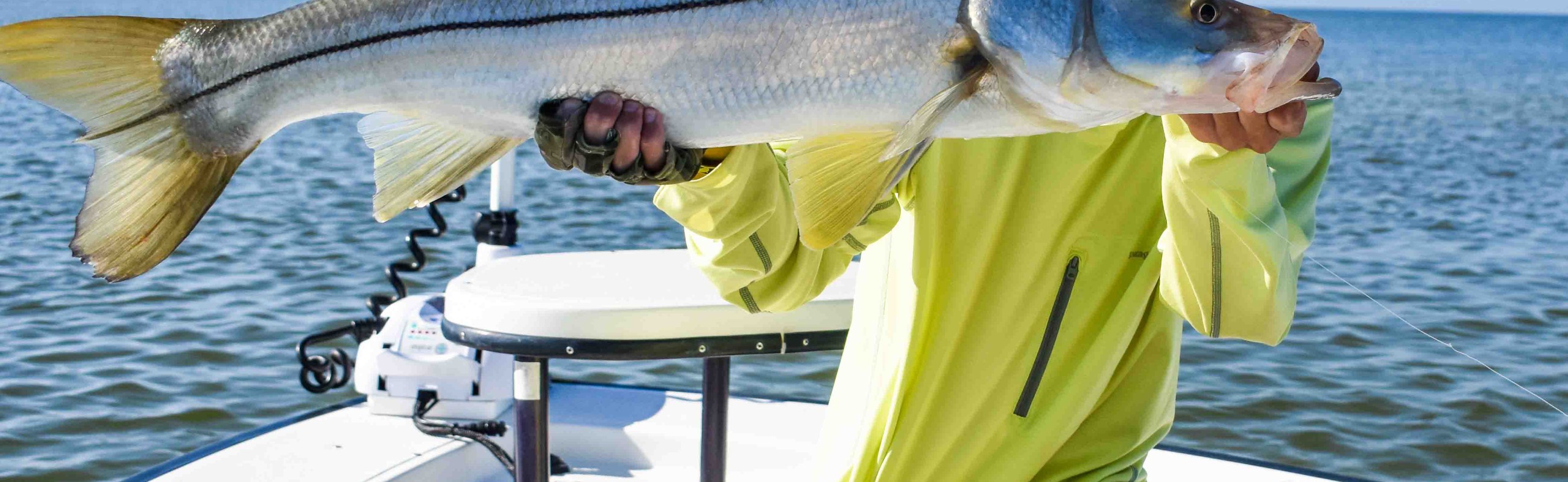 St. Petersburg Beach Snook Fly Fishing