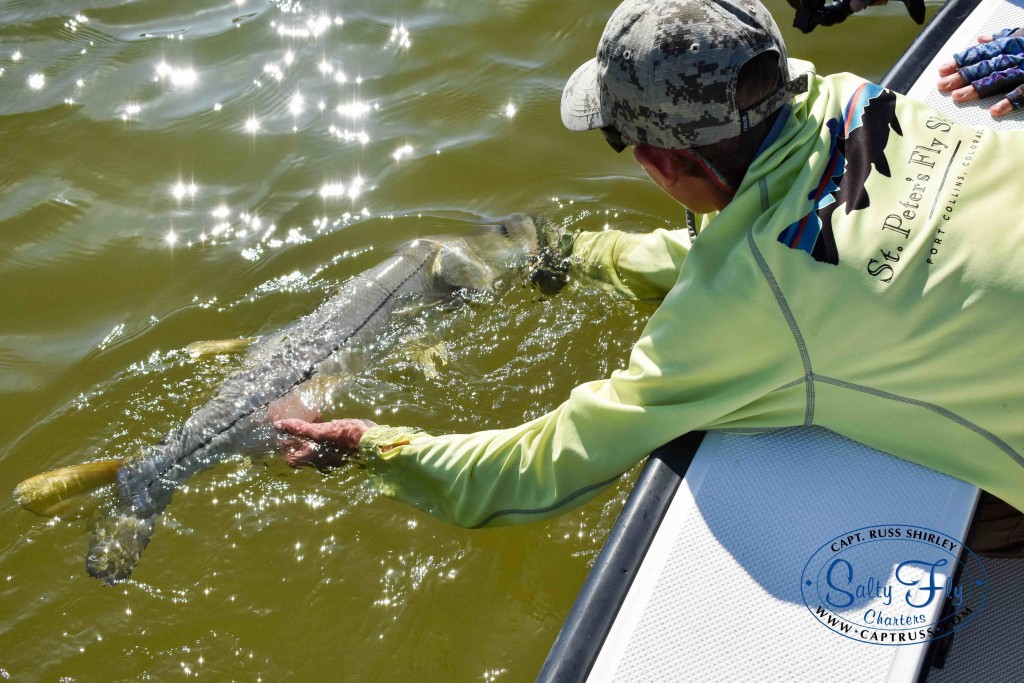 Sonder's Large Snook Release sm