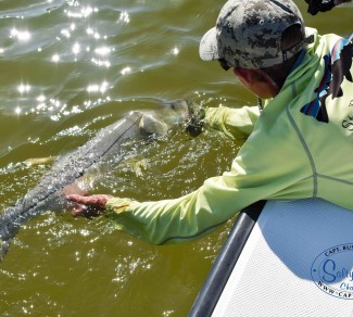 Sonder's Large Snook Release sm