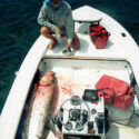 Stop Tarpon From Jumping In The Boat. It’s Time to Dance!